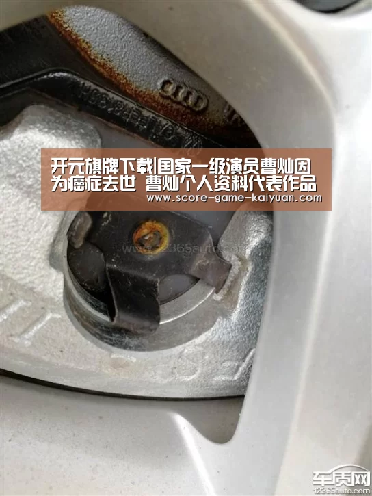 开元旗牌下载