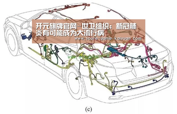 开元旗牌官网-世卫组织:新冠肺炎有可能成为大流行病(图3) 开元旗牌下载